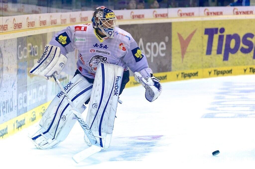 Marcel Melicherčík, foto: www.hcbilitygri.cz